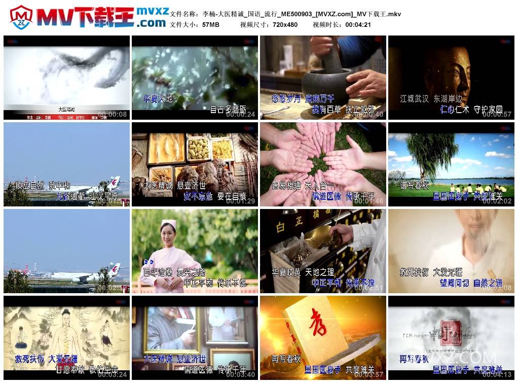 李楠-大医精诚_国语_流行_ME500903